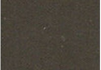 Lehmfarbe Umbra Grün